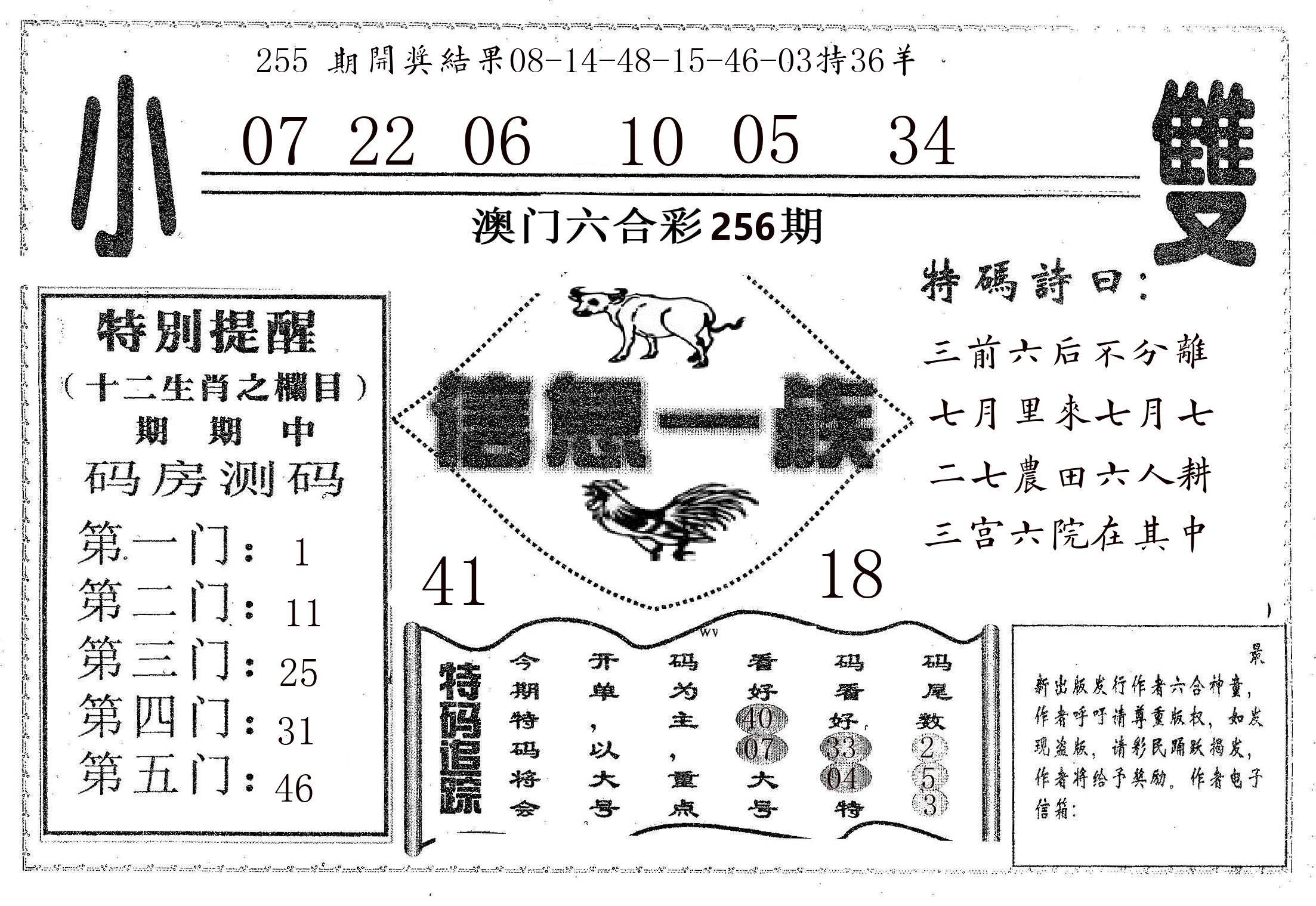 信息一族 第256期