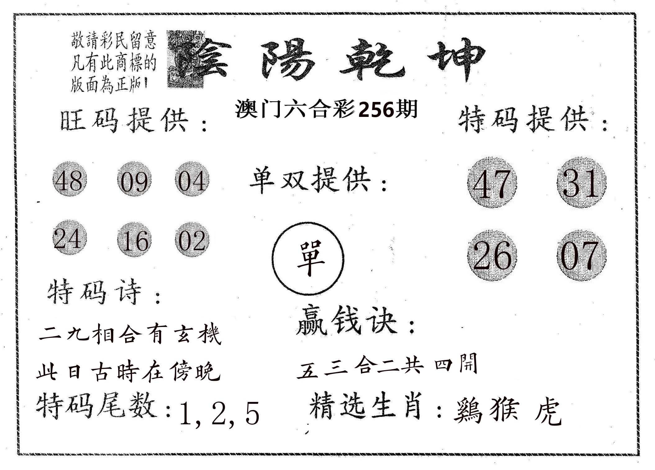 阴阳乾坤 第256期