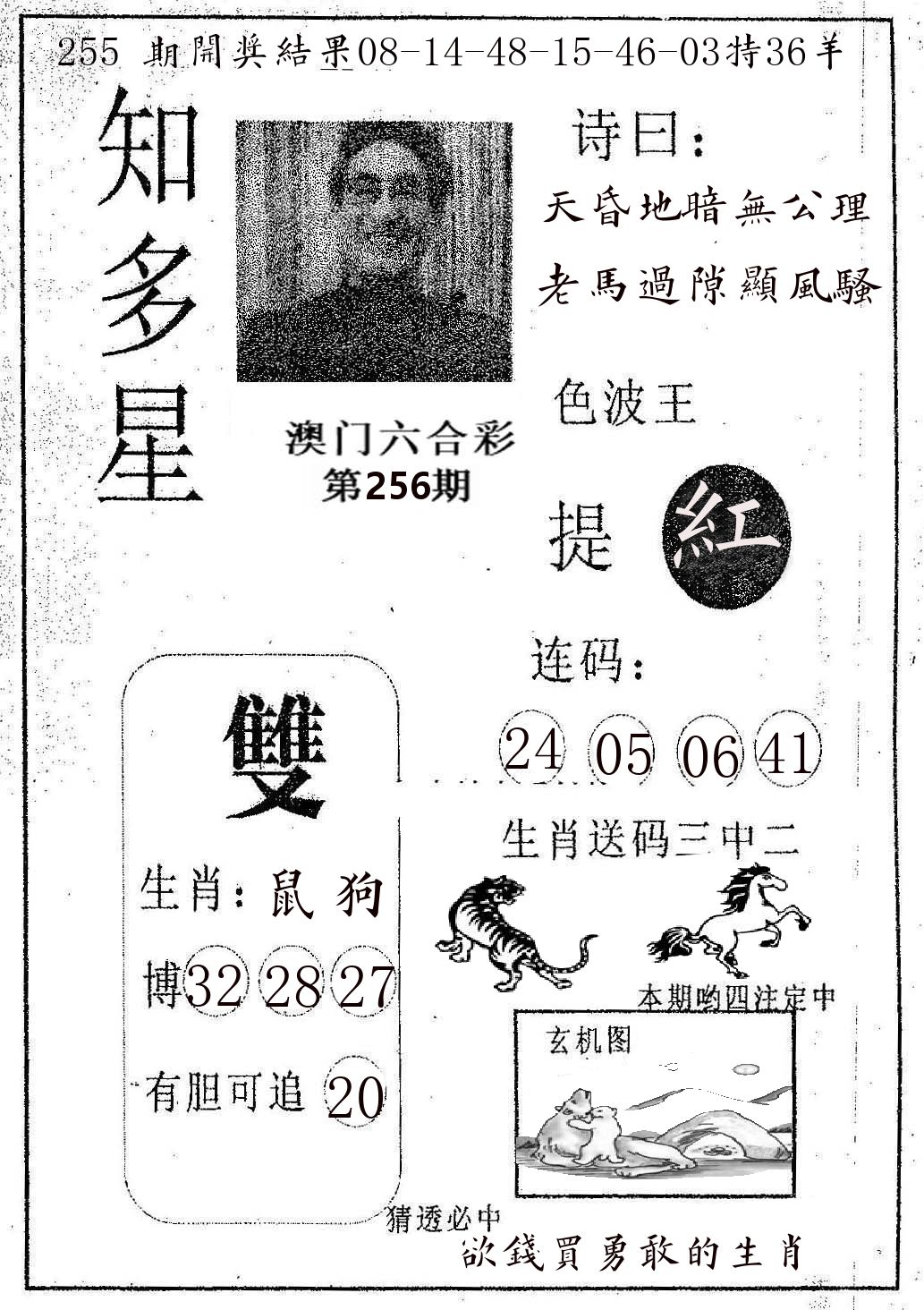知多星 第256期
