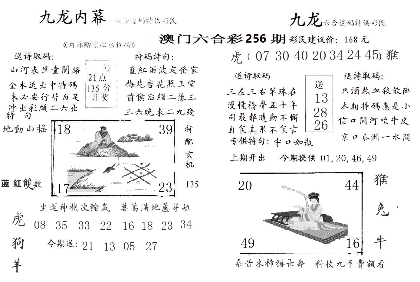 九龙内幕 第256期