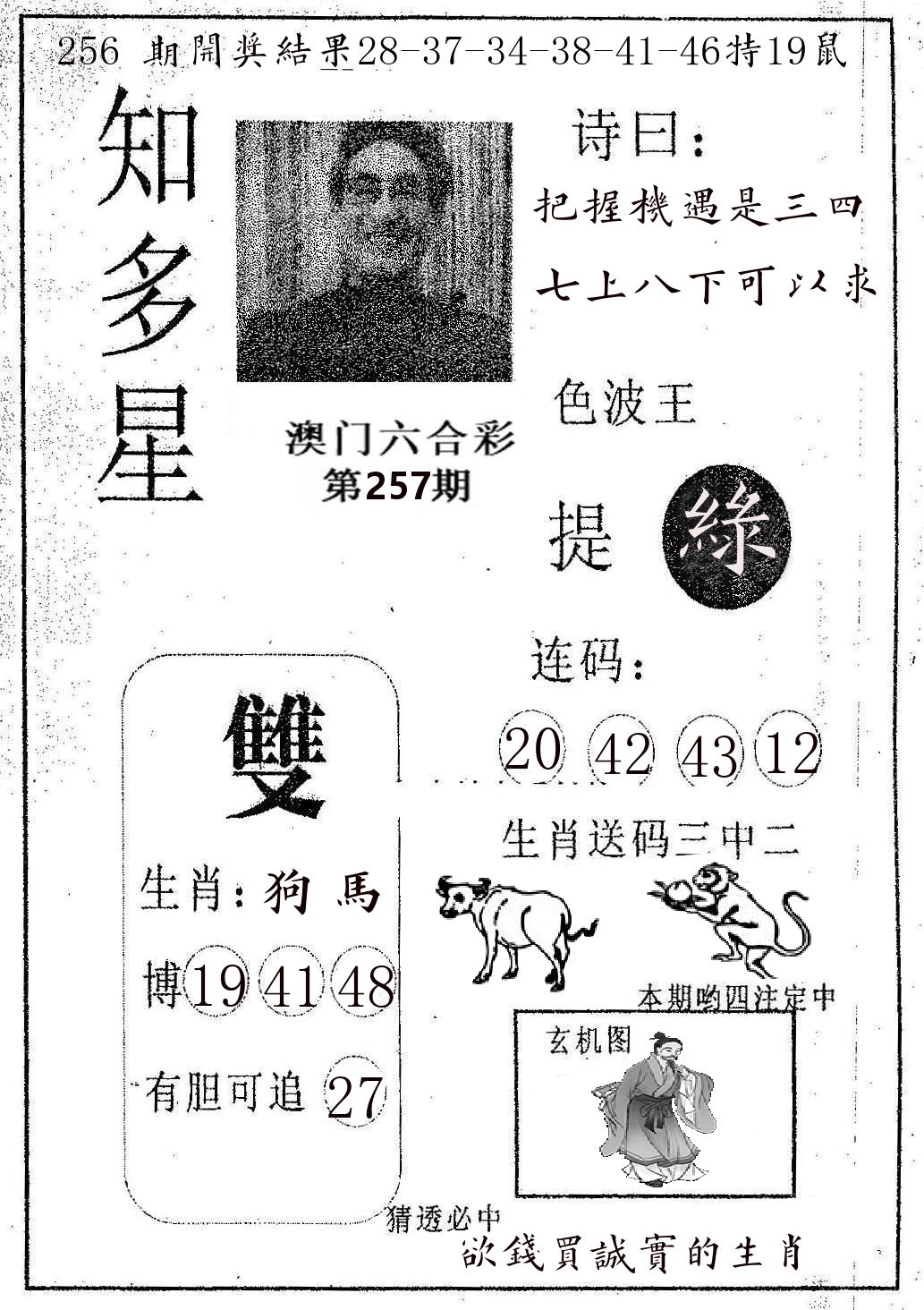 知多星 第257期