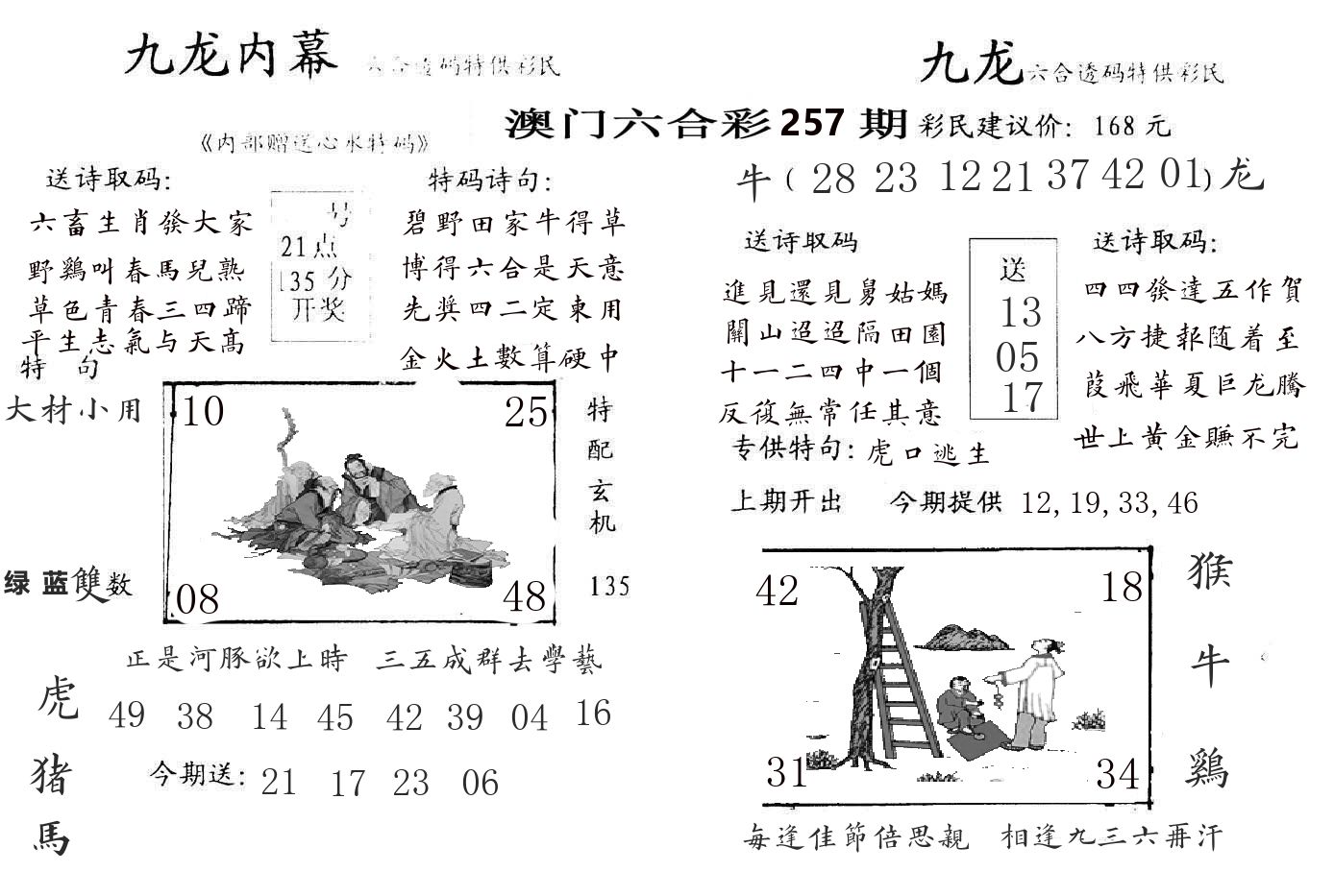 九龙内幕 第257期