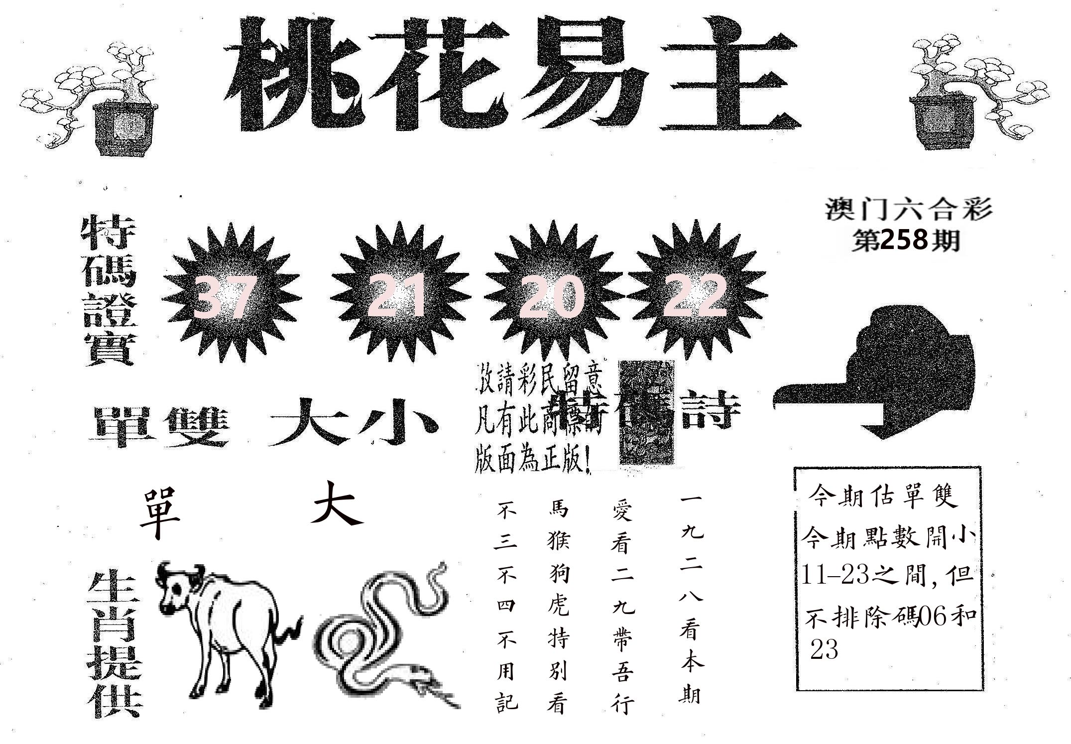 桃花易主 第258期