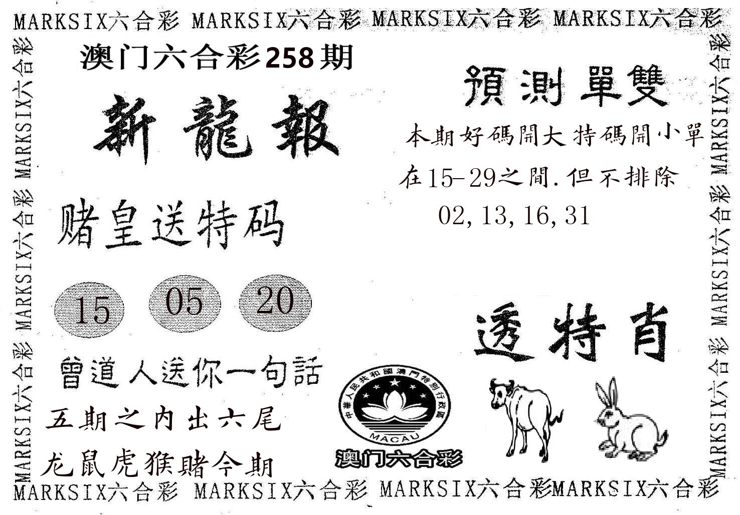 新龙报 第258期