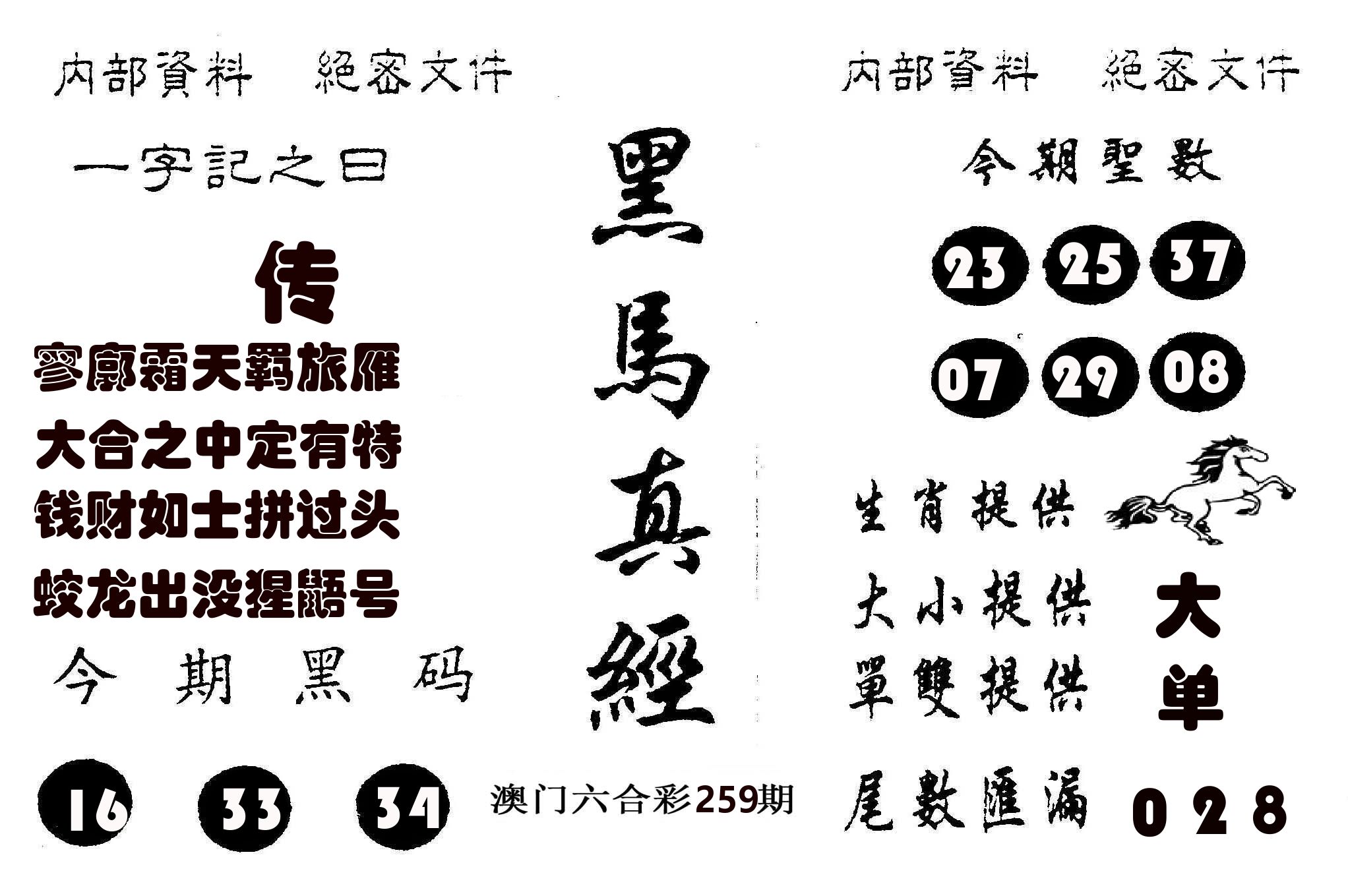 黑马真经 第259期