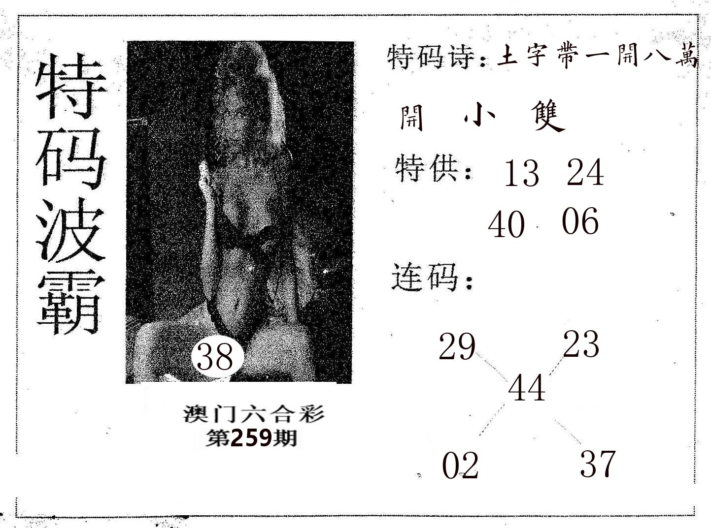 特码波霸 第259期