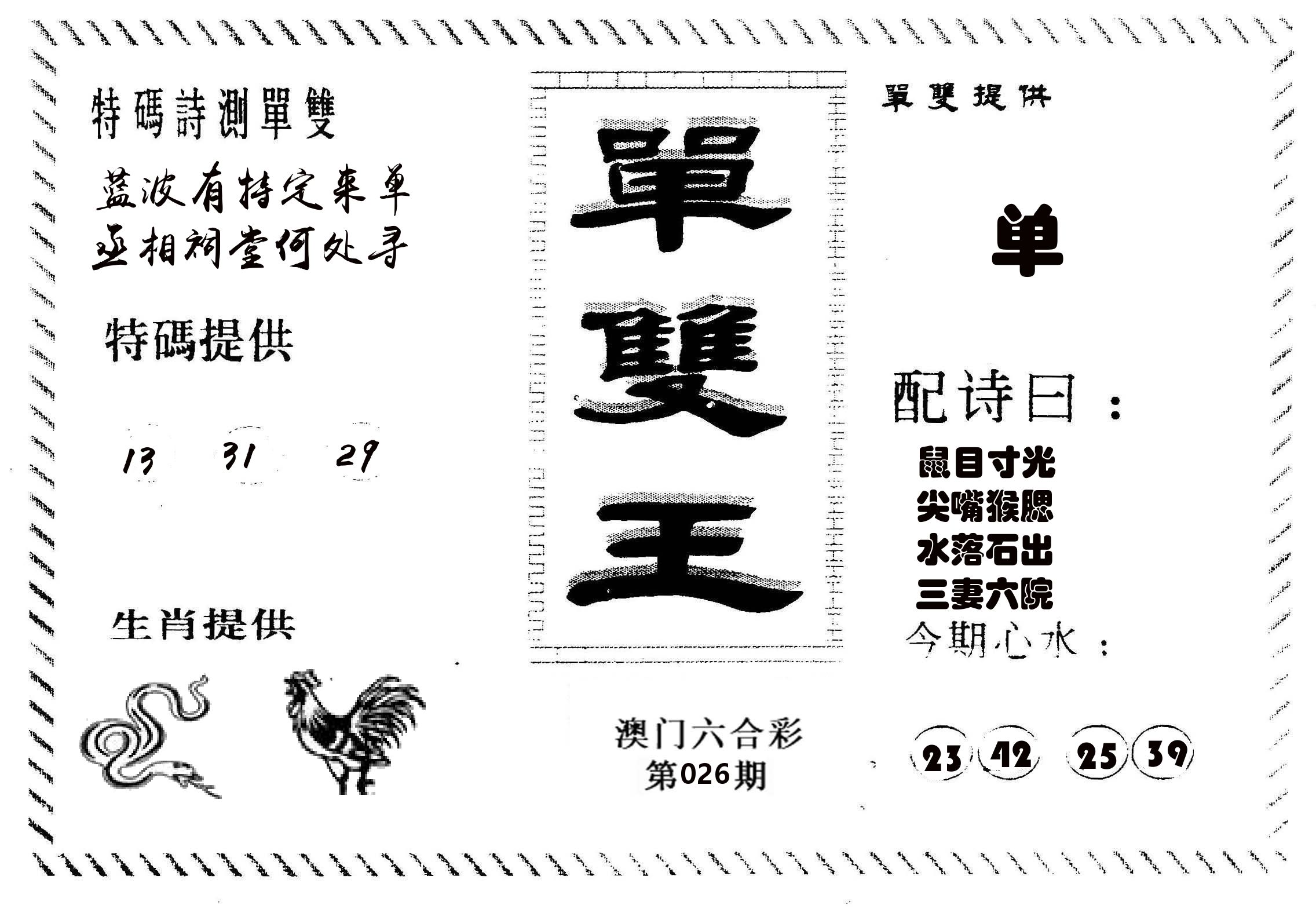单双王B 第26期