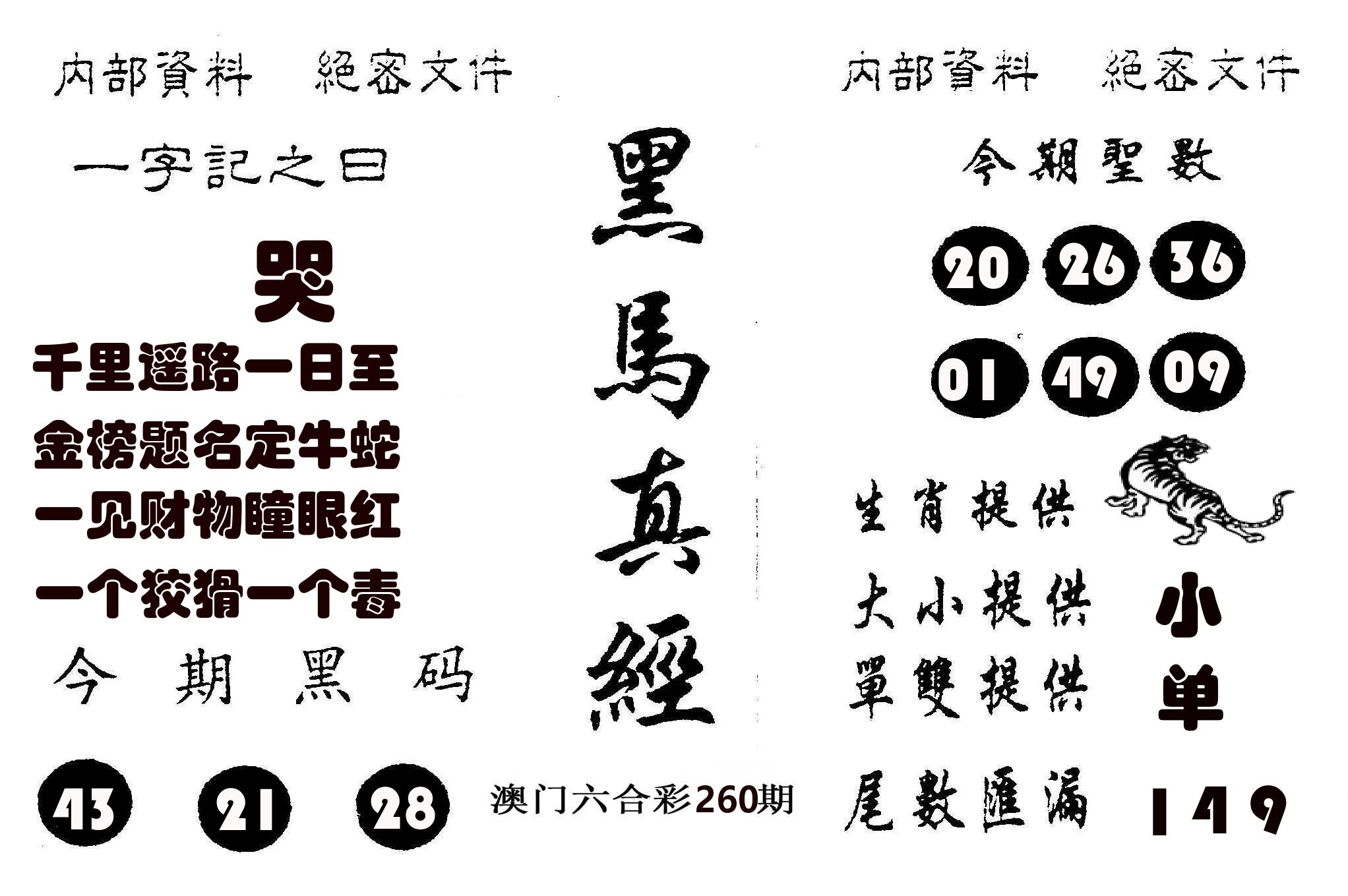 黑马真经 第260期