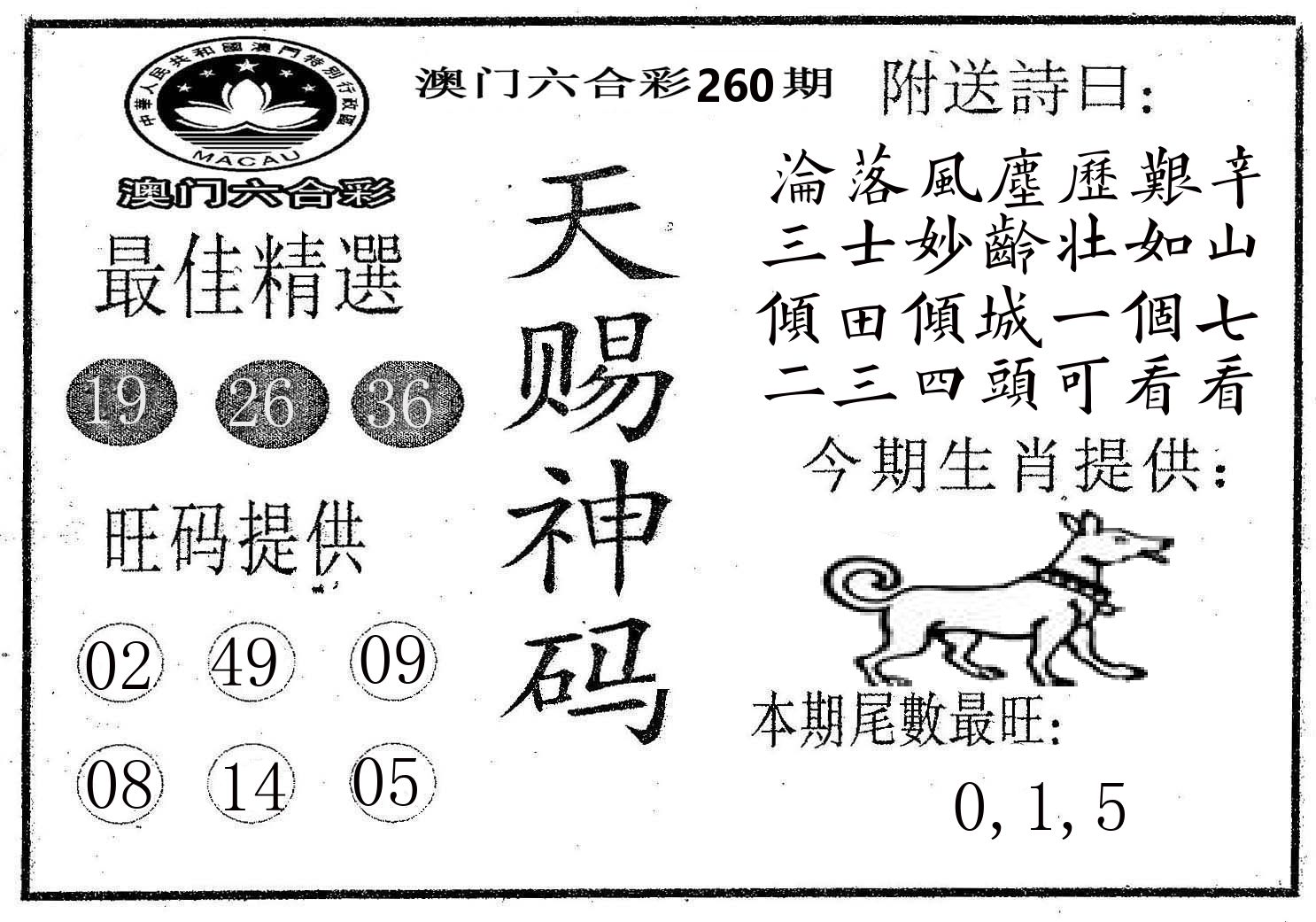 天赐神码 第260期