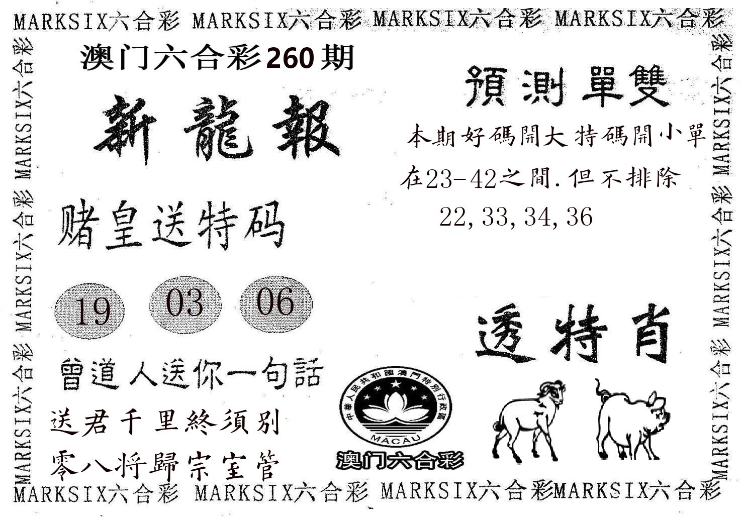 新龙报 第260期