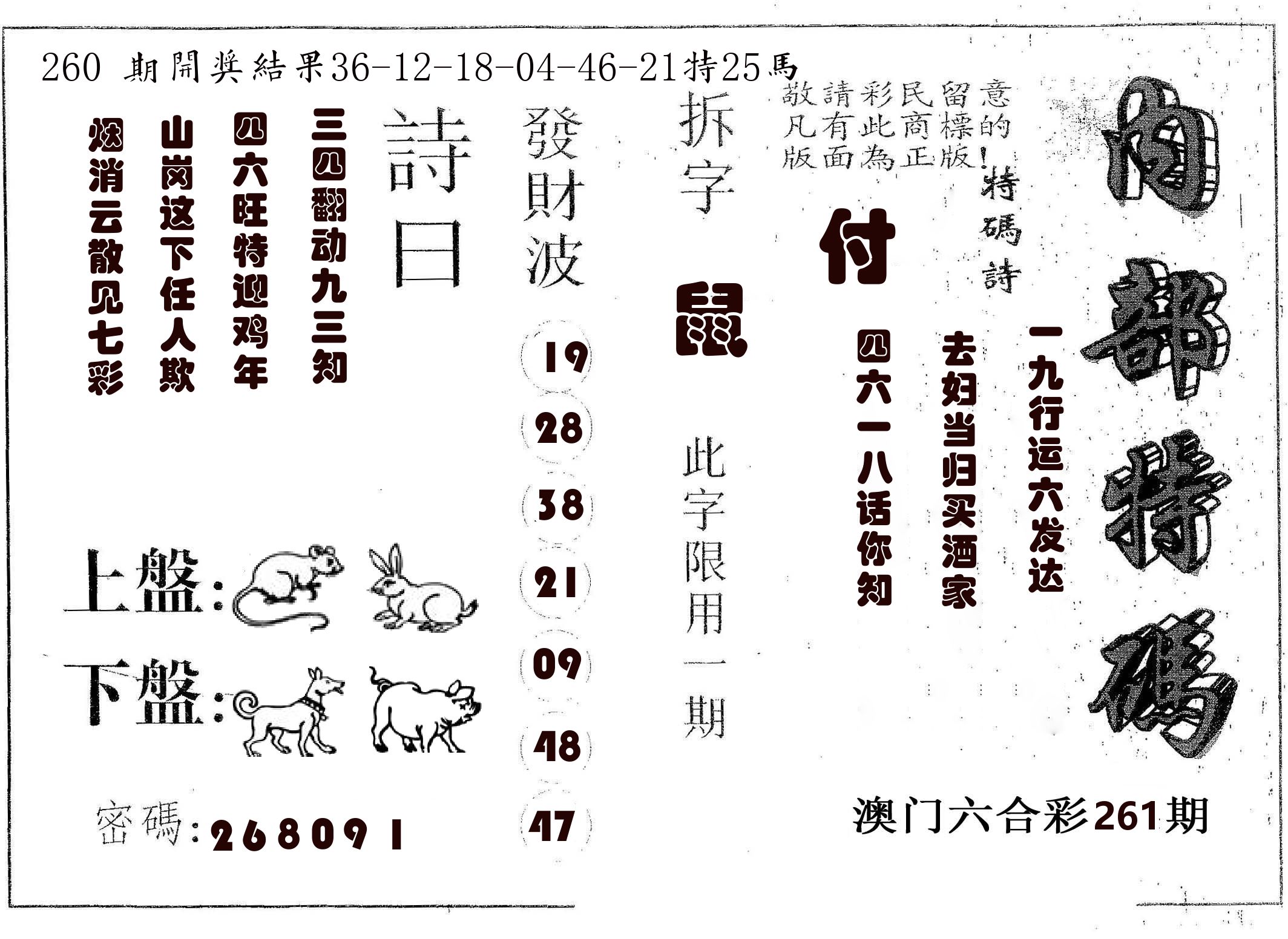 内部特码 第261期