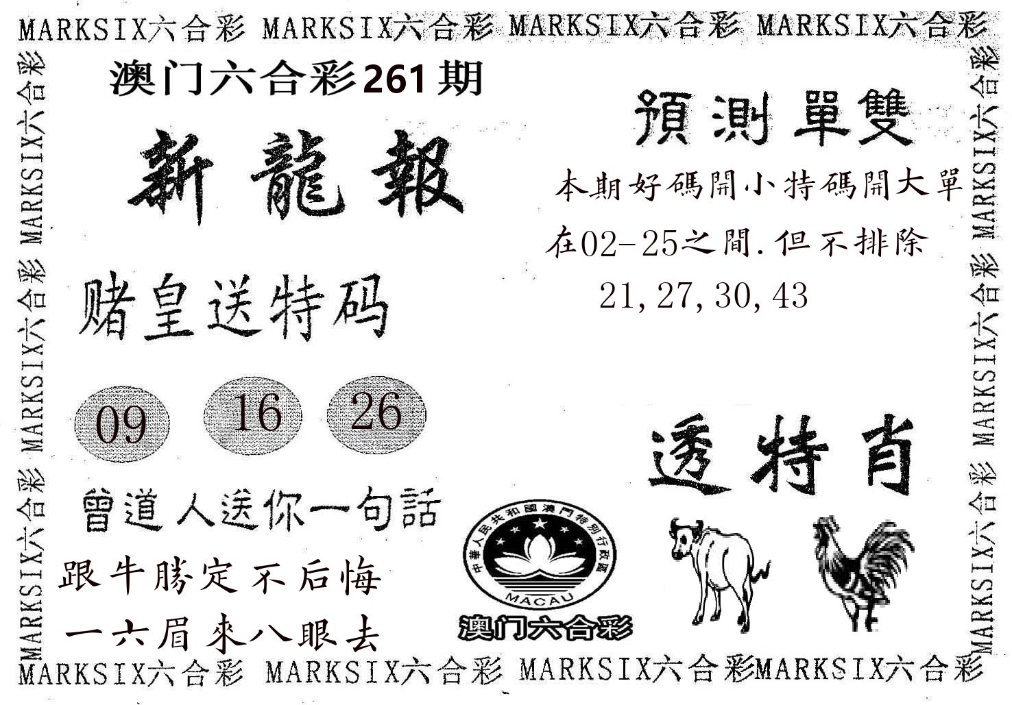 新龙报 第261期