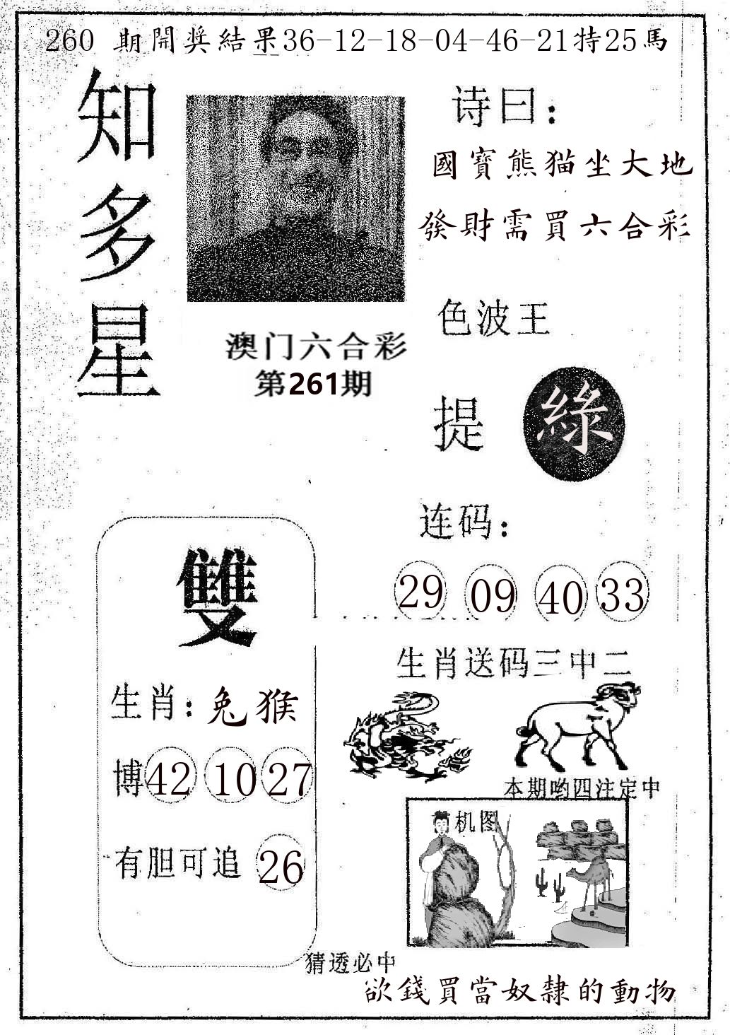 知多星 第261期