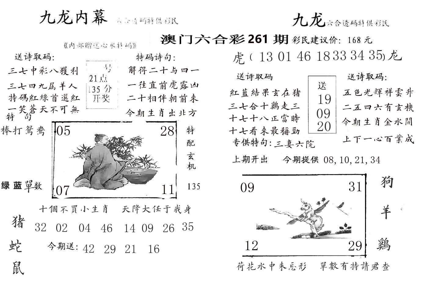 九龙内幕 第261期