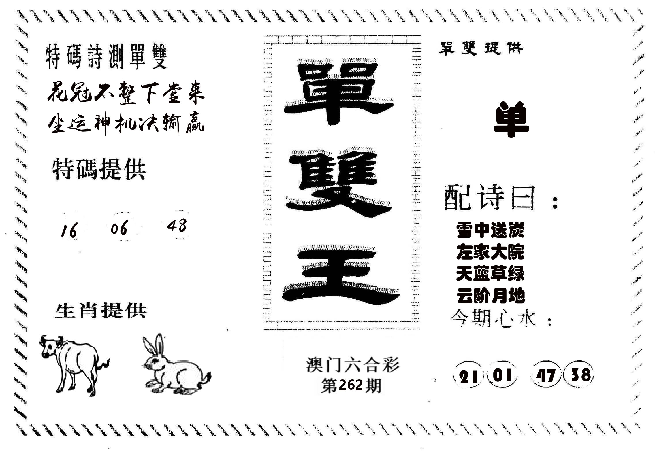 单双王B 第262期