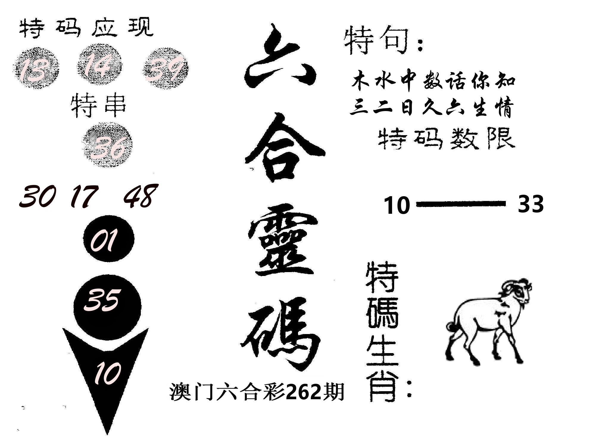六合灵码 第262期