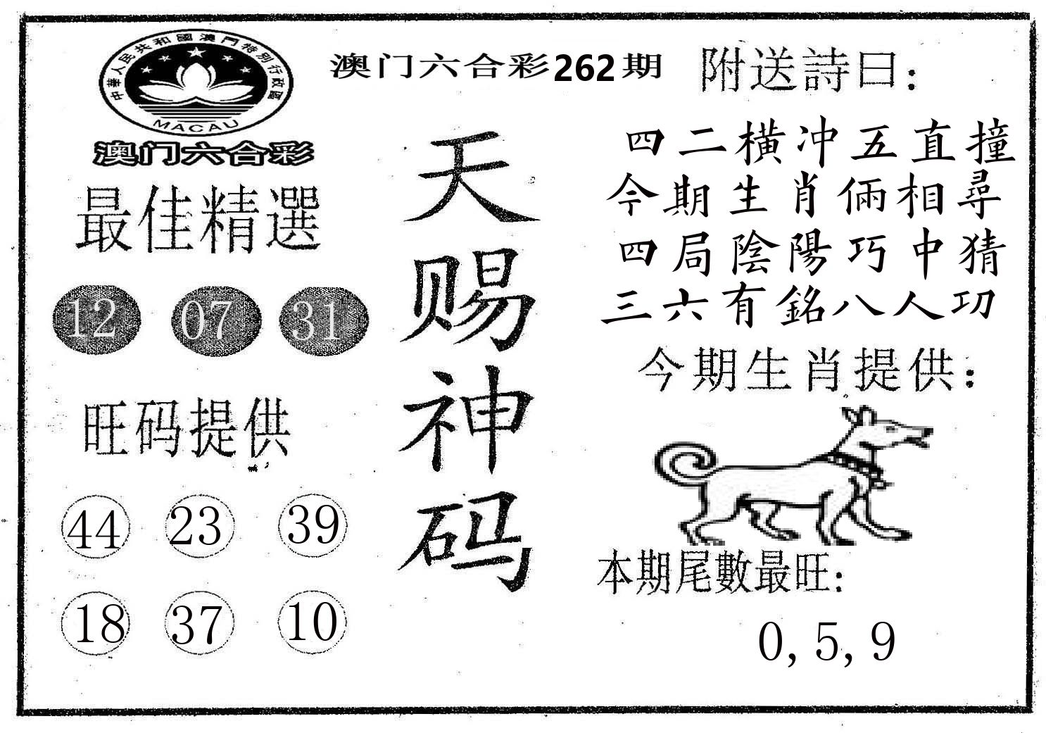 天赐神码 第262期