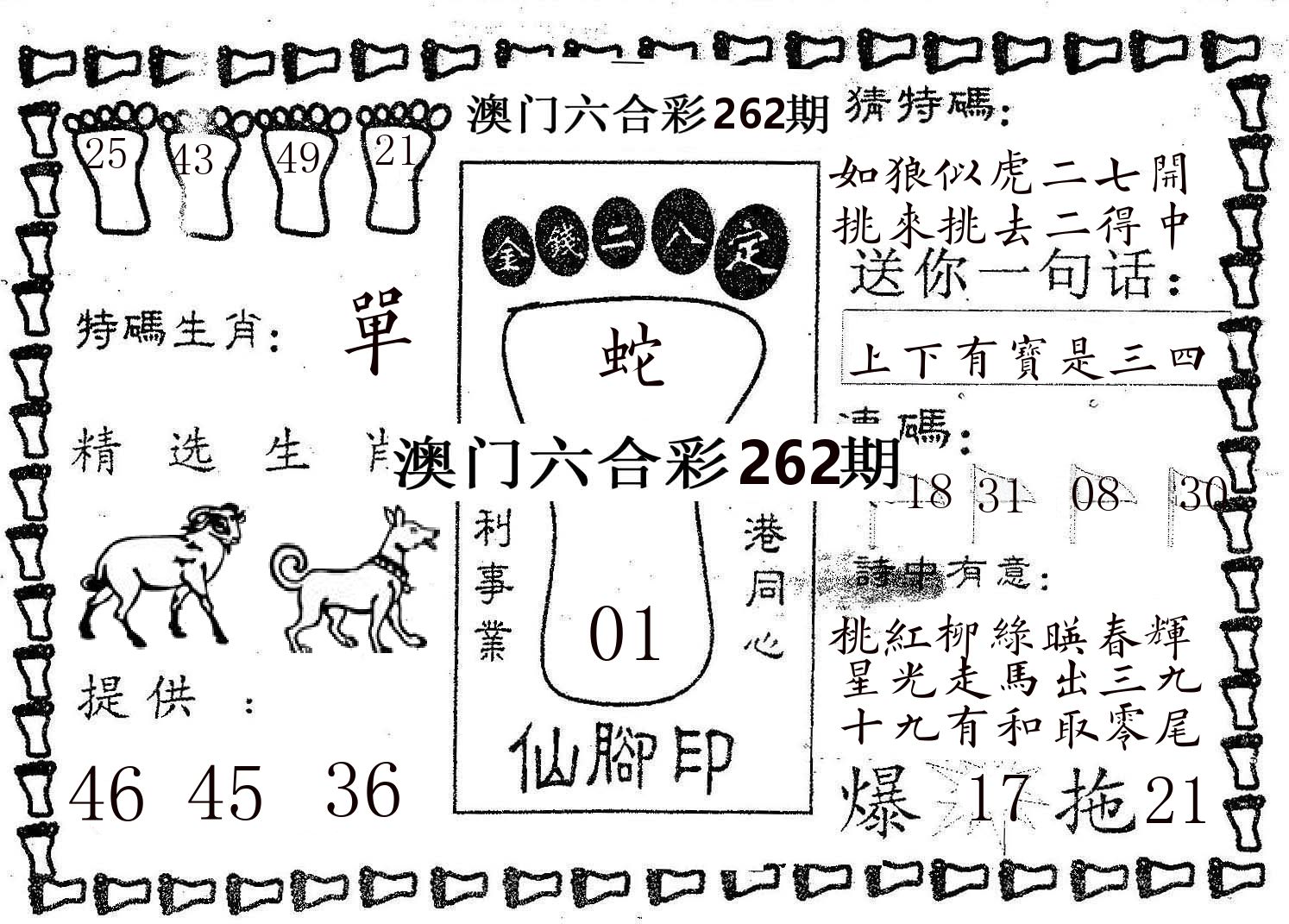 仙脚印 第262期