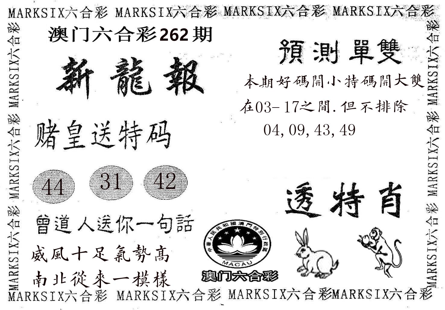 新龙报 第262期
