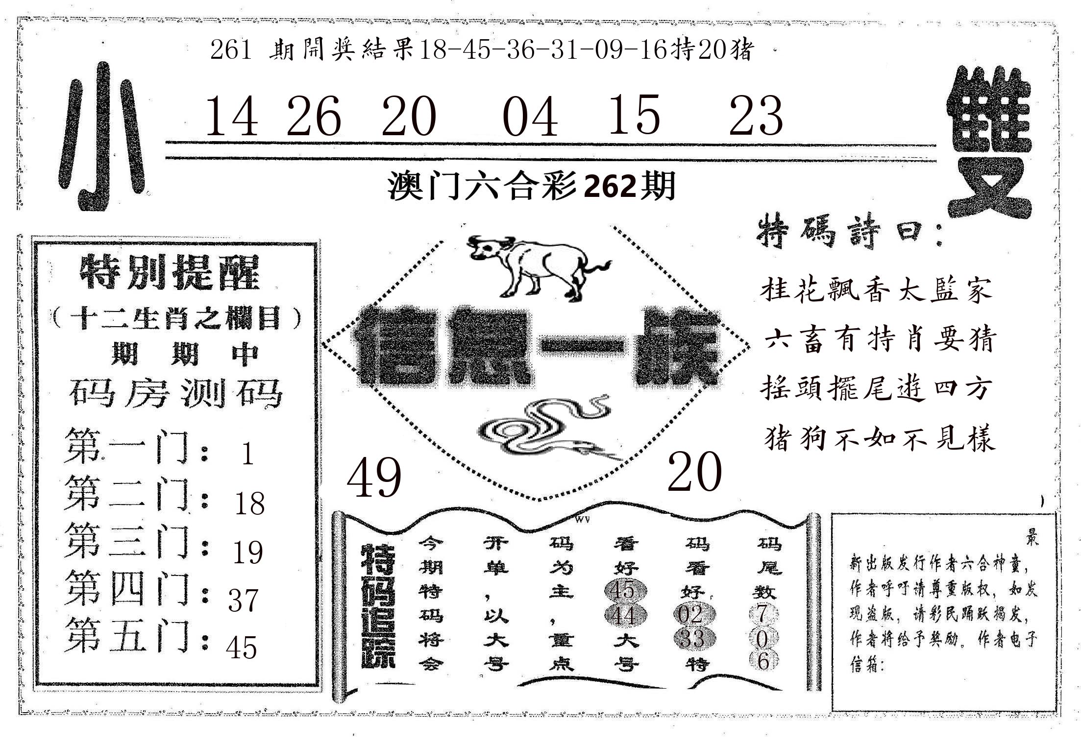信息一族 第262期