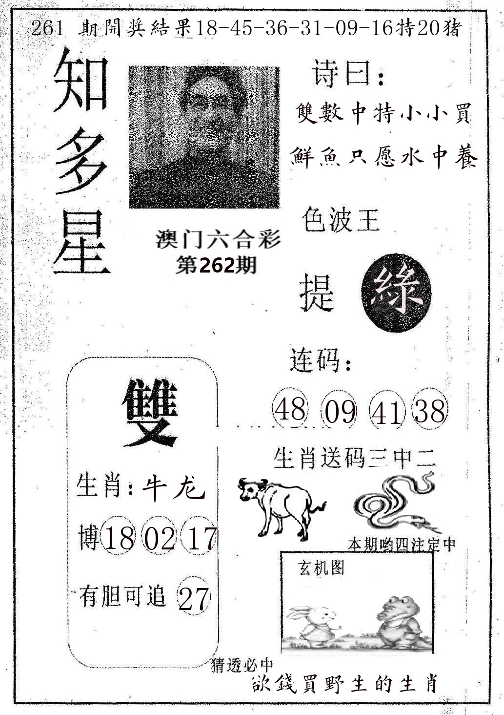 知多星 第262期