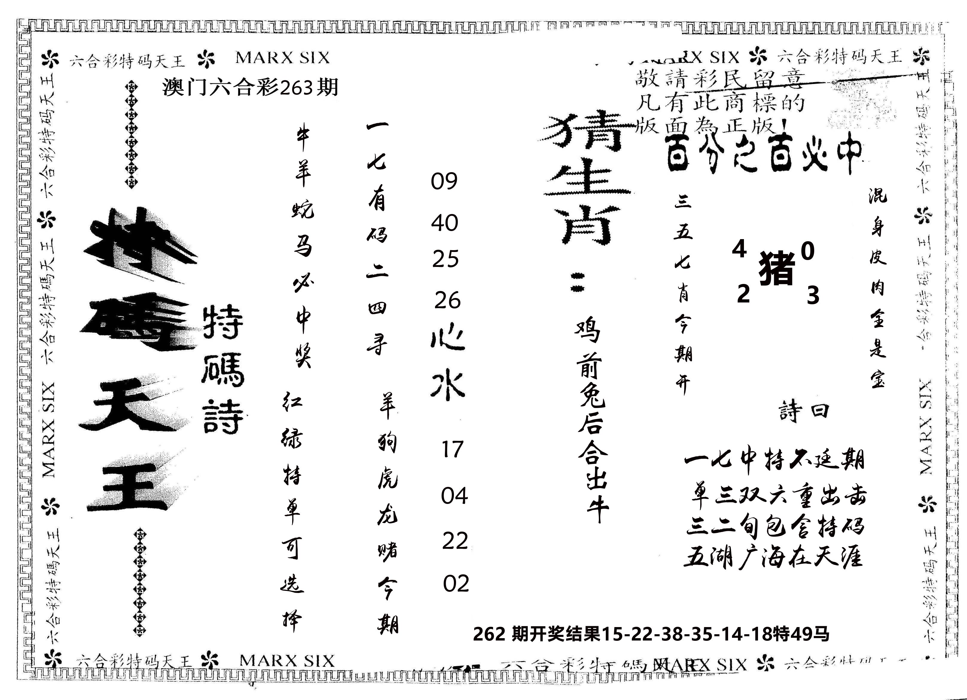 另版特码天王 第263期