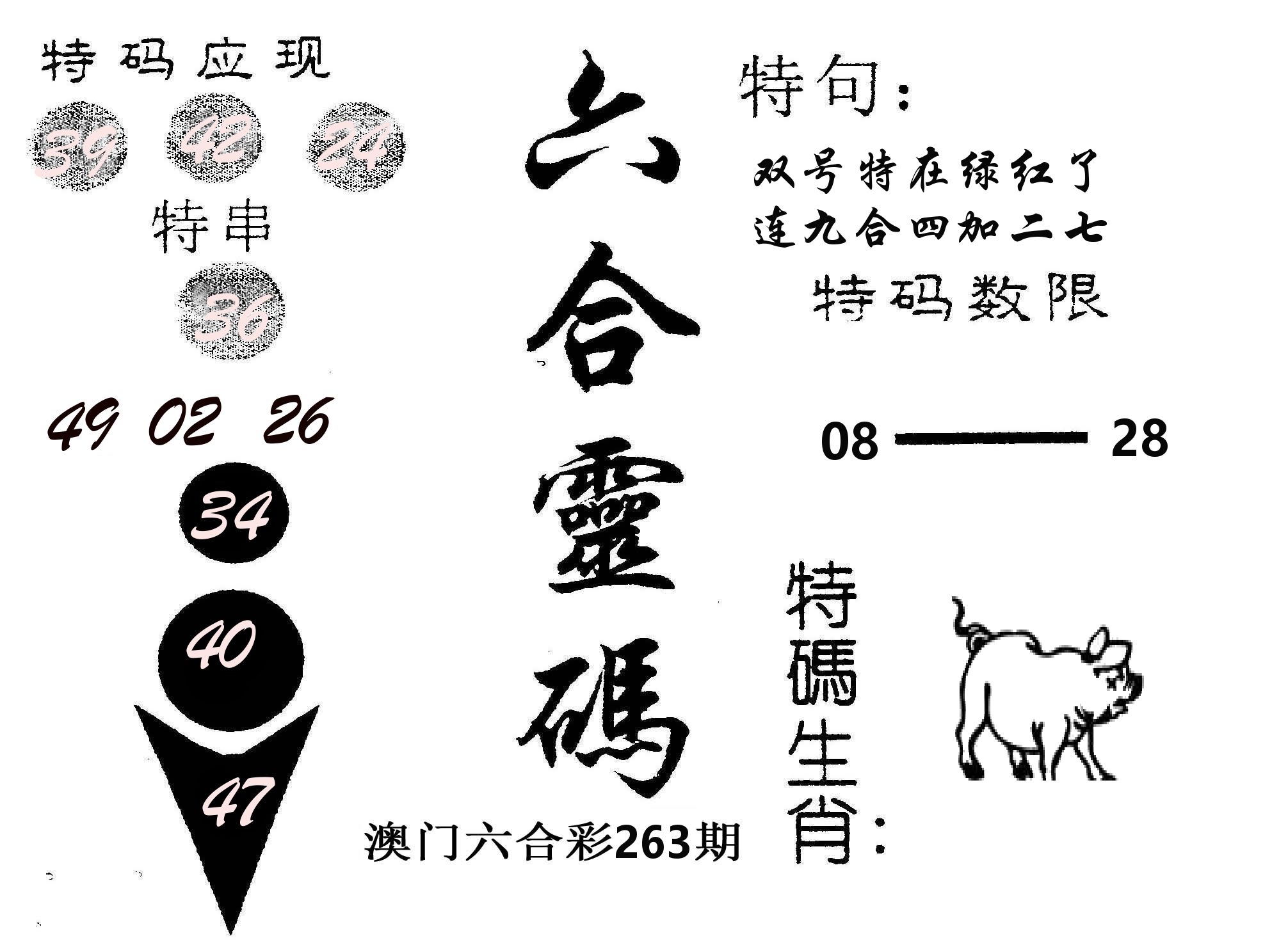 六合灵码 第263期