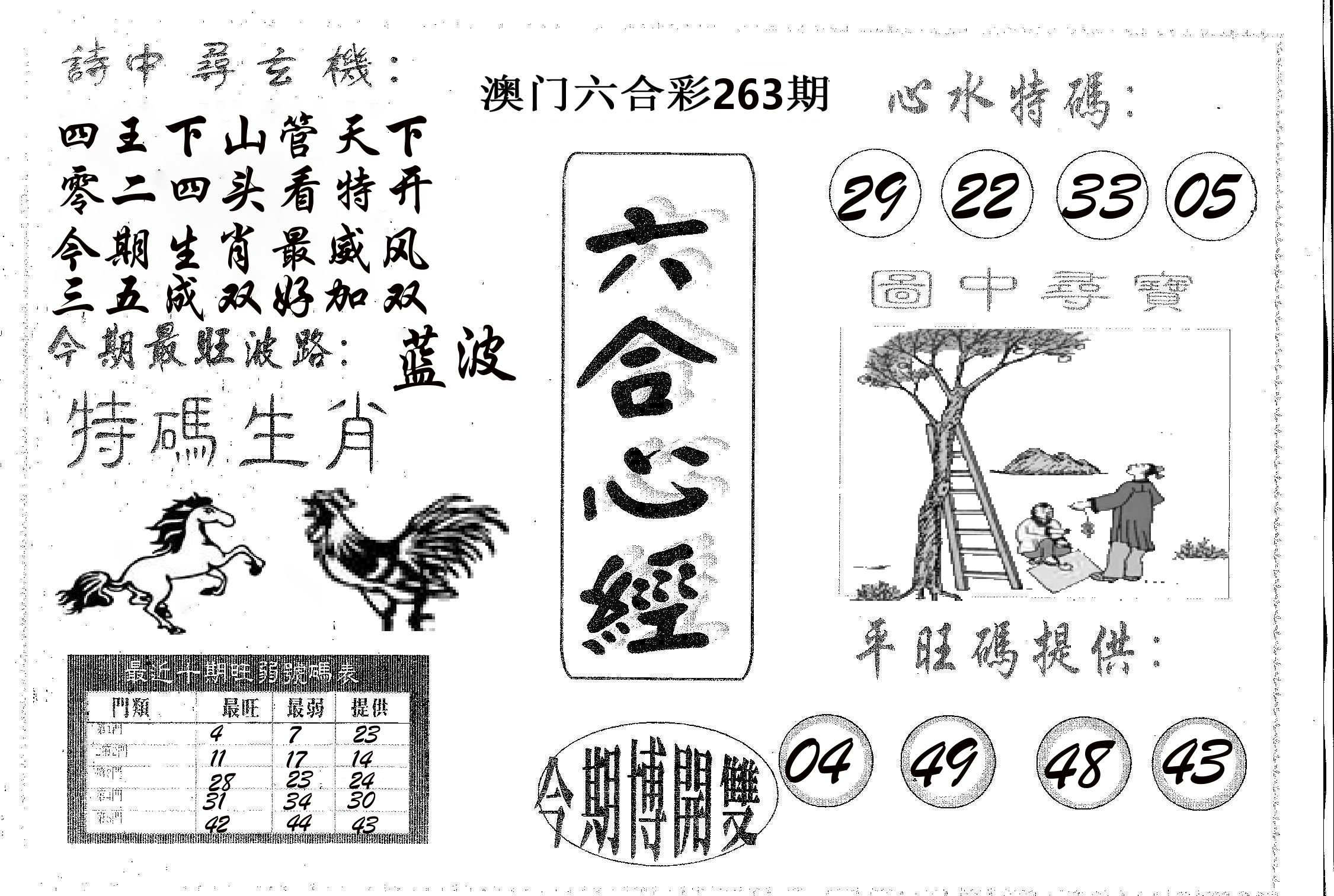 六合心经 第263期