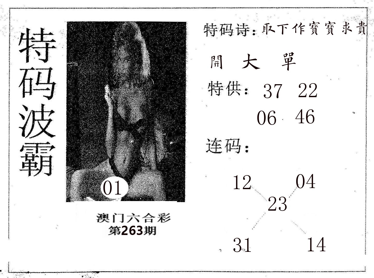 特码波霸 第263期
