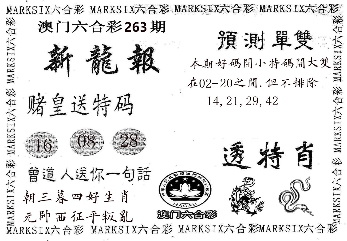 新龙报 第263期