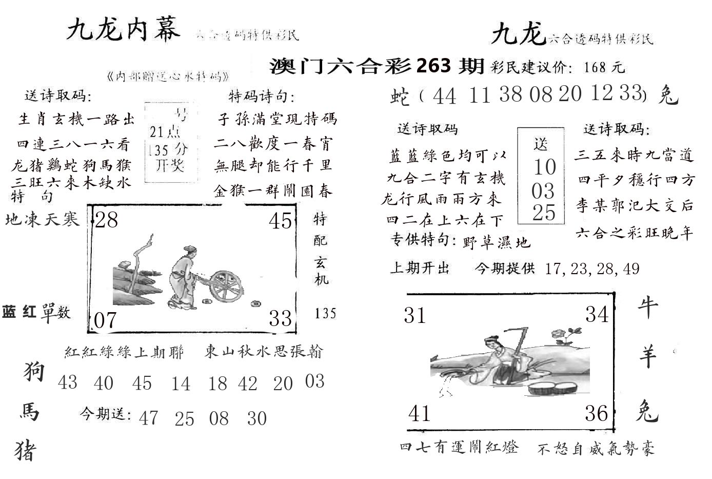 九龙内幕 第263期
