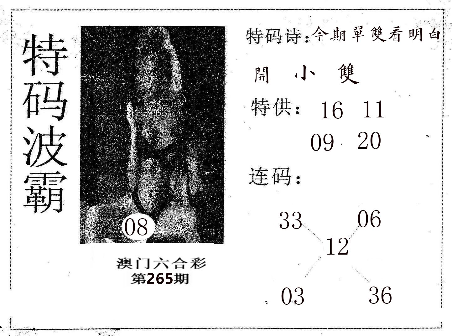 特码波霸 第265期