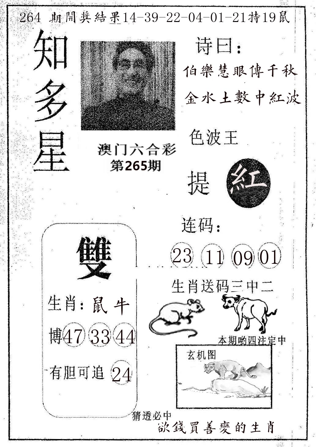 知多星 第265期