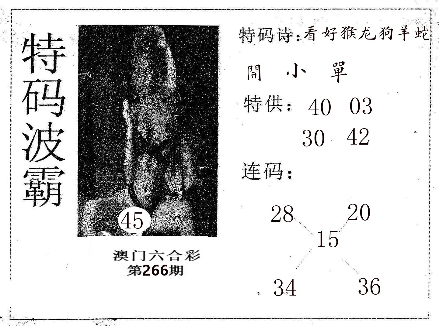 特码波霸 第266期
