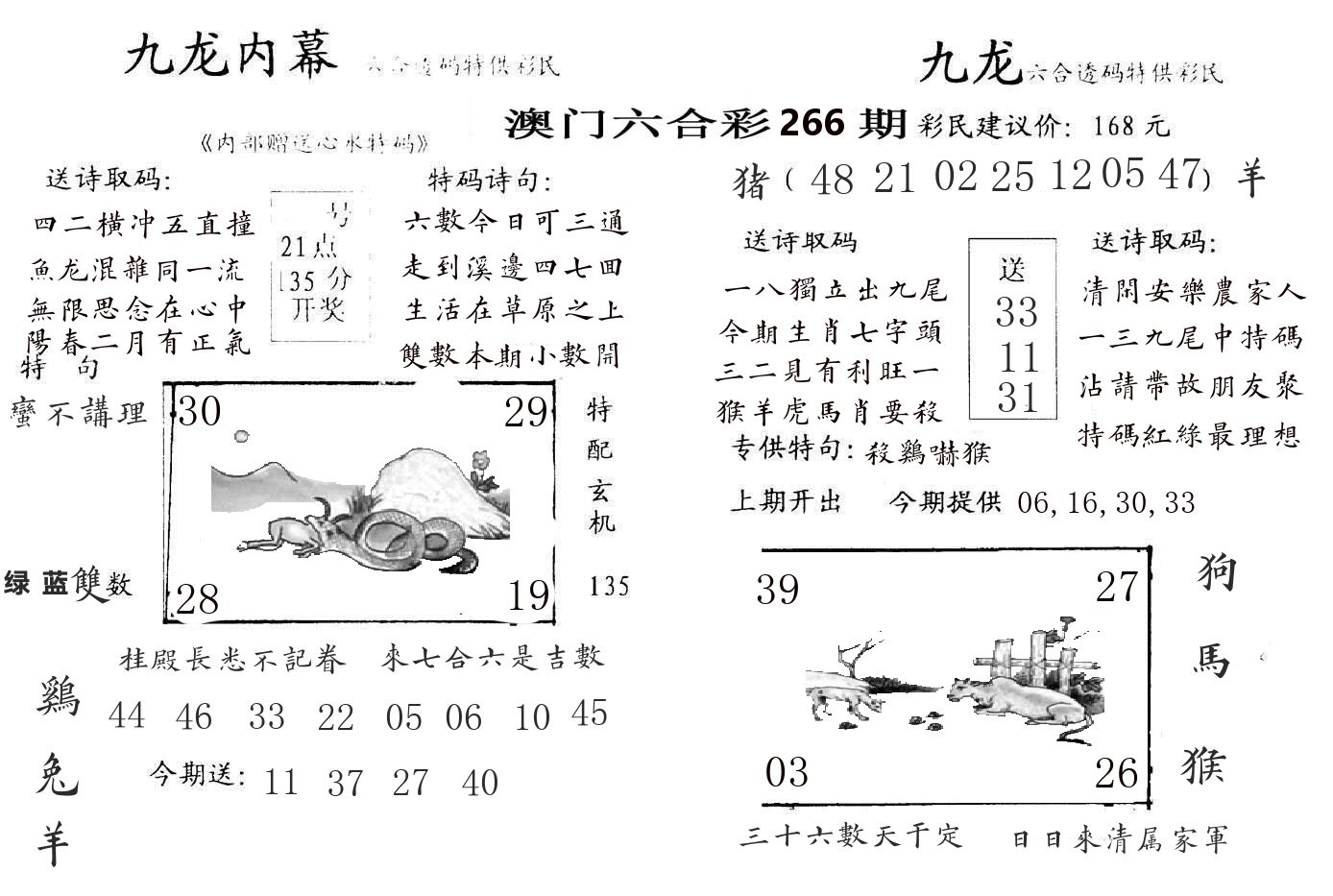 九龙内幕 第266期