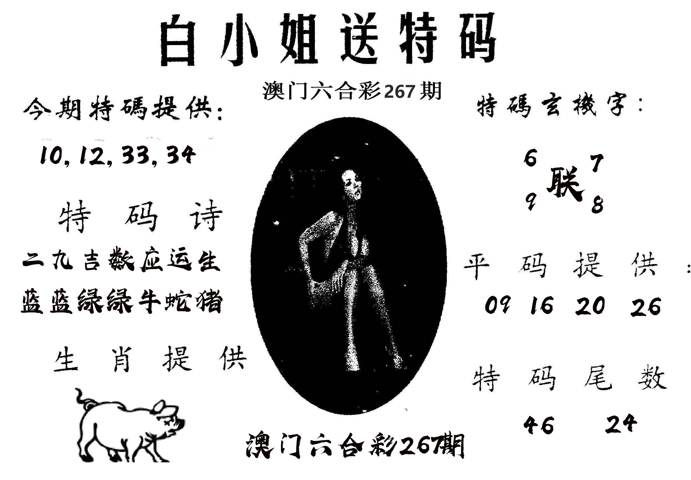 白姐送特 第267期
