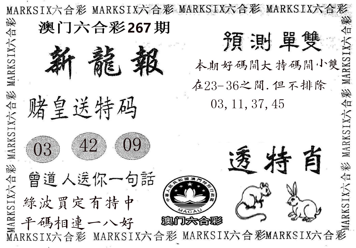 新龙报 第267期