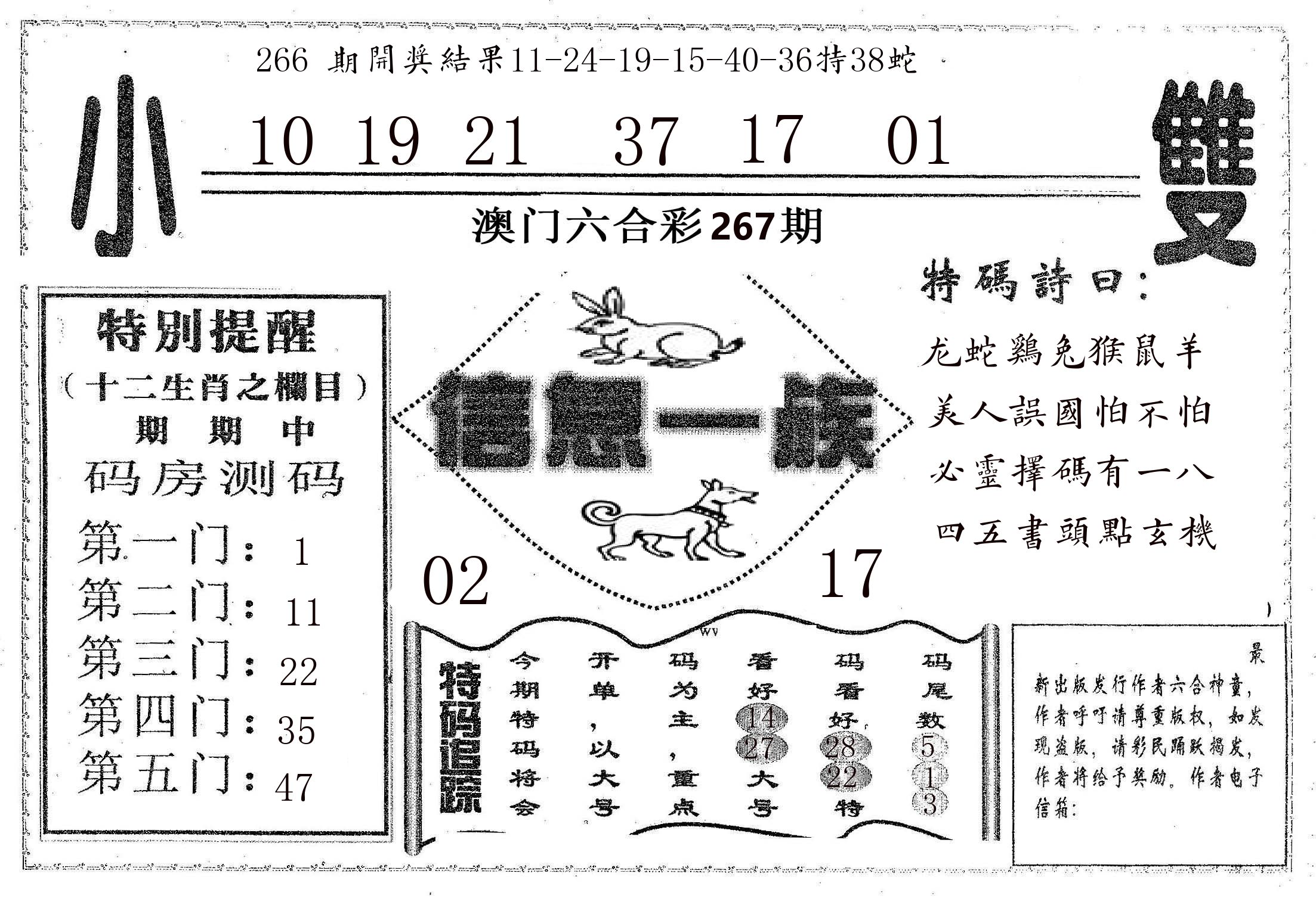信息一族 第267期