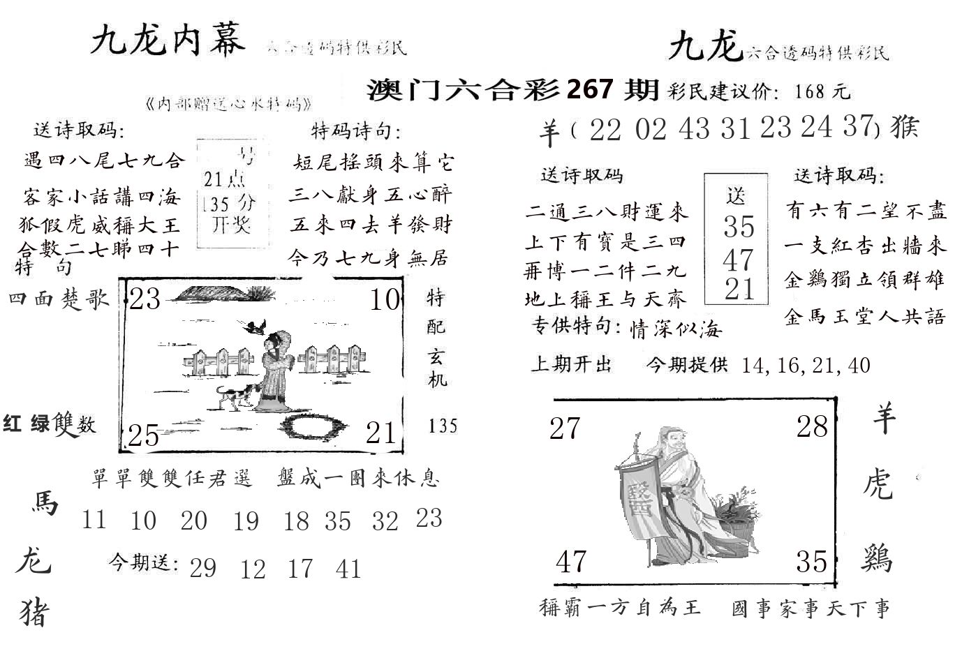 九龙内幕 第267期
