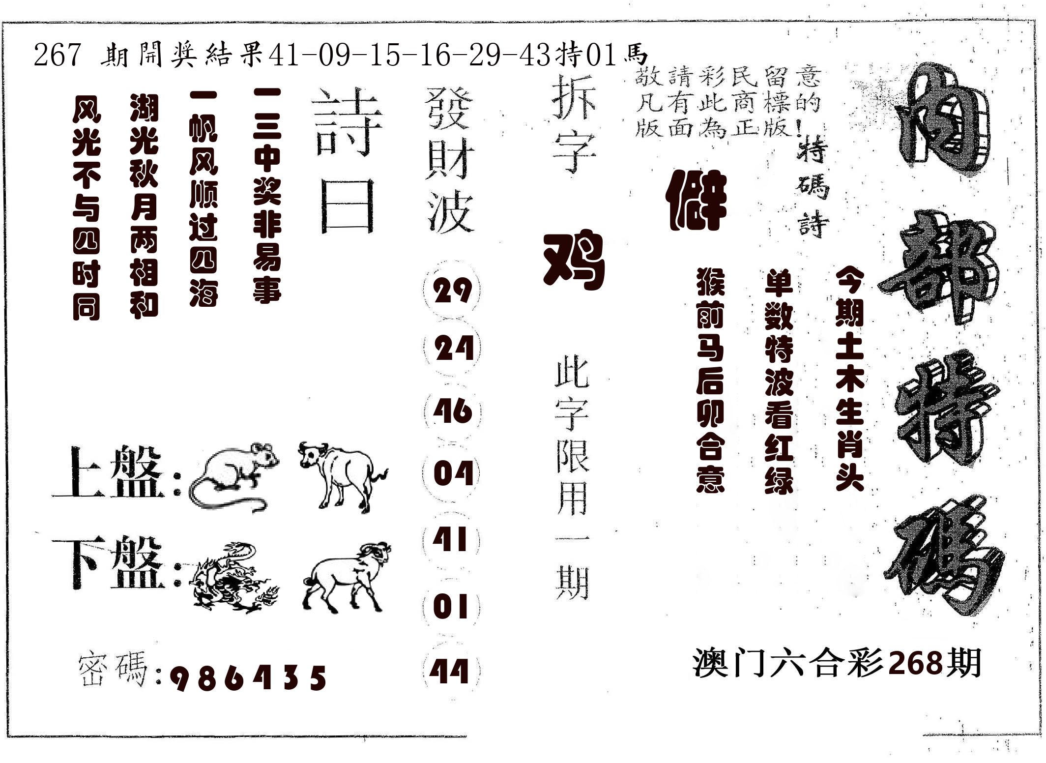 内部特码 第268期