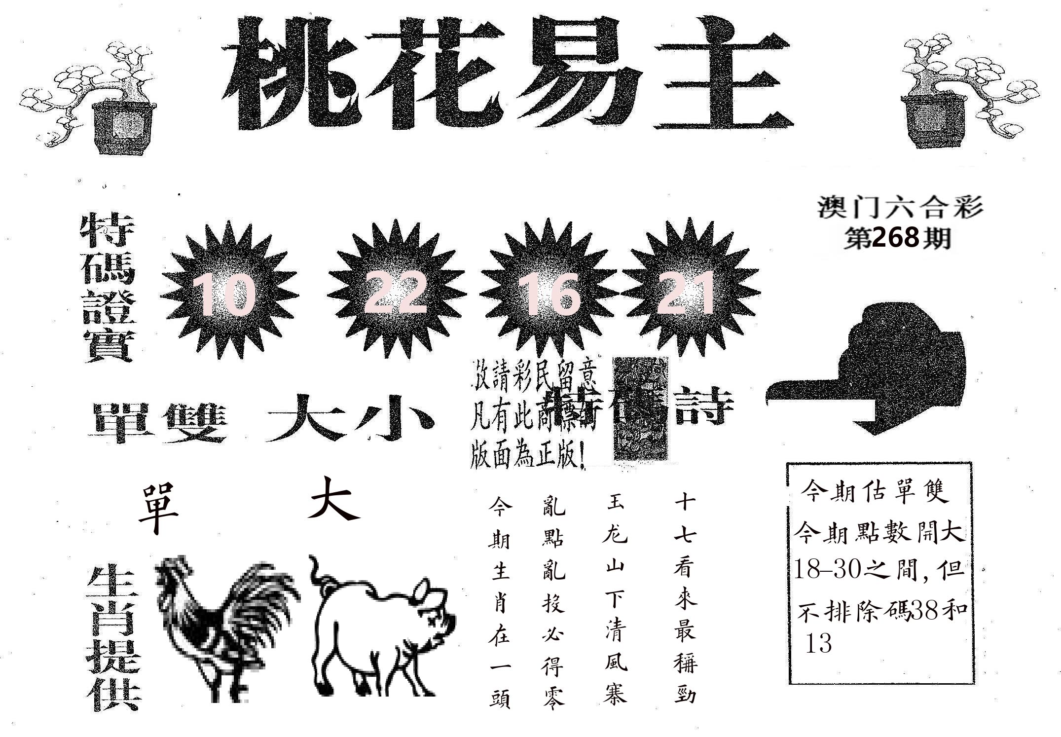 桃花易主 第268期