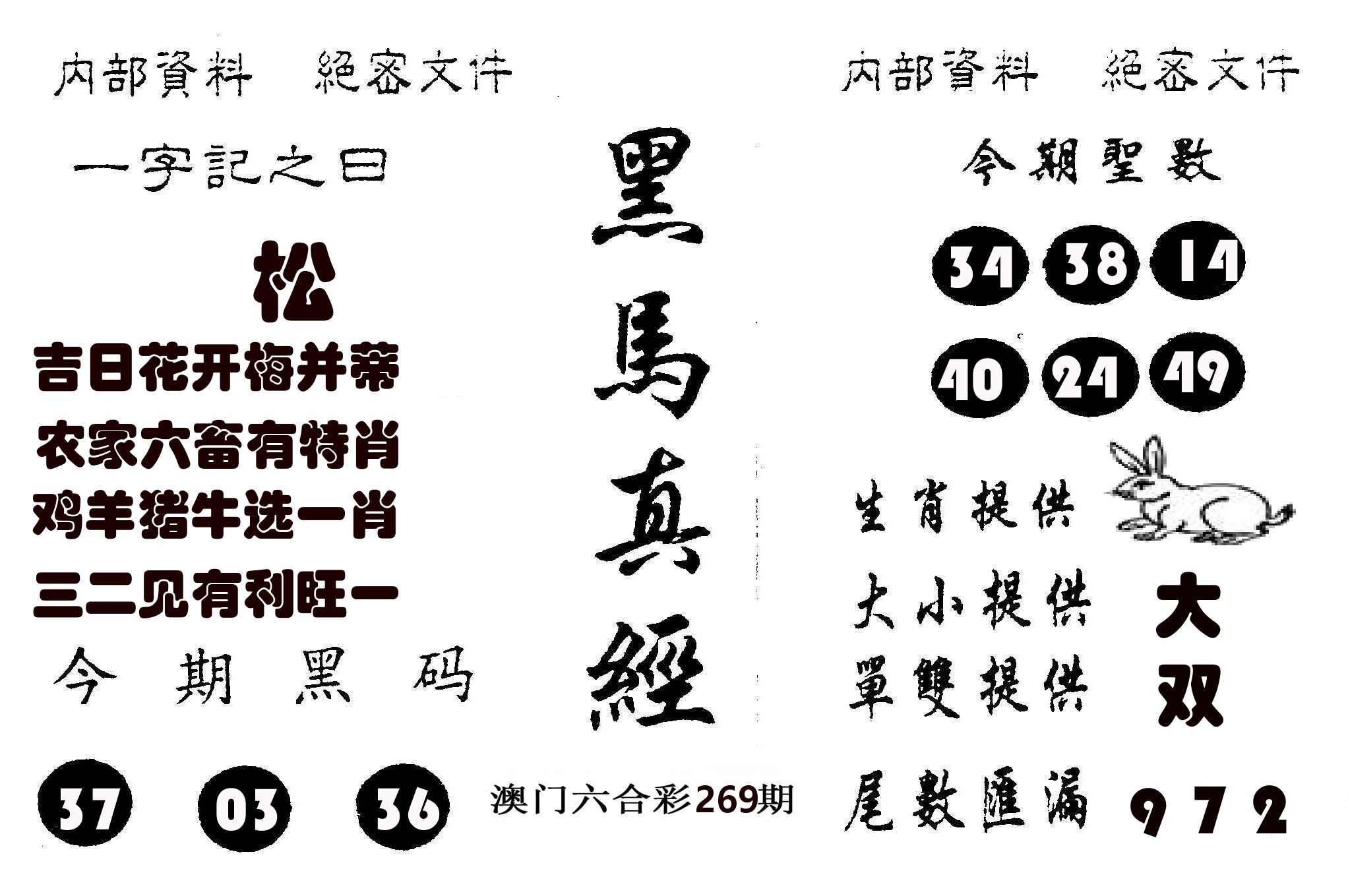黑马真经 第269期