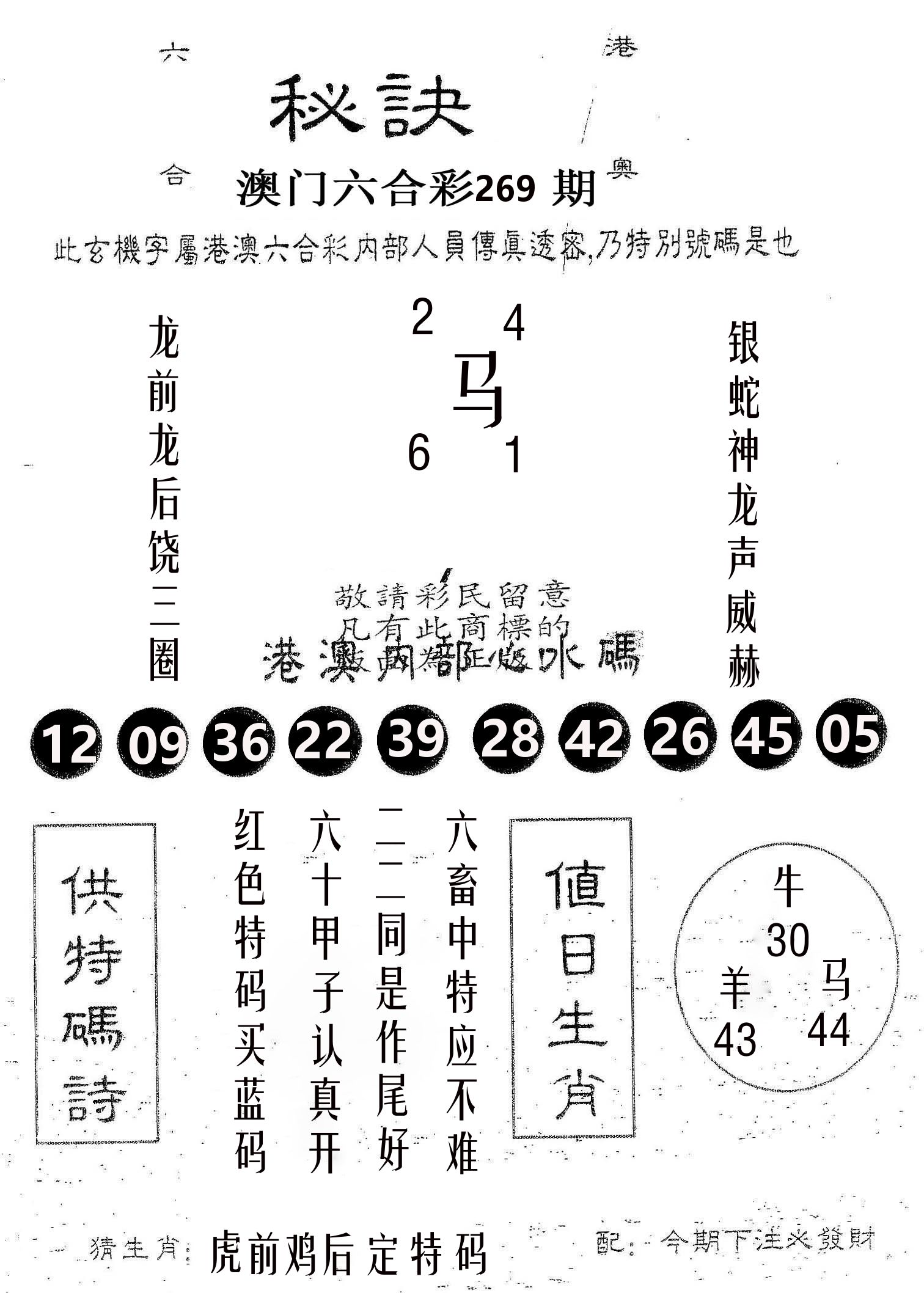 秘决 第269期