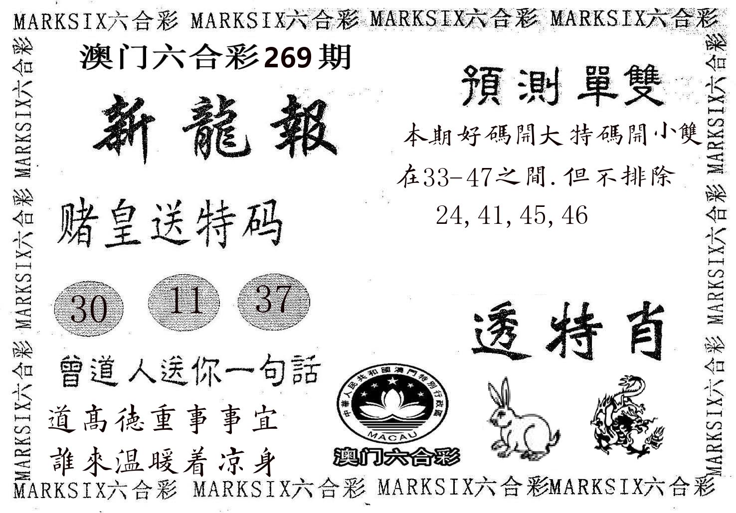 新龙报 第269期