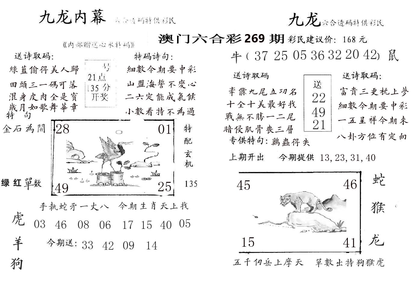 九龙内幕 第269期