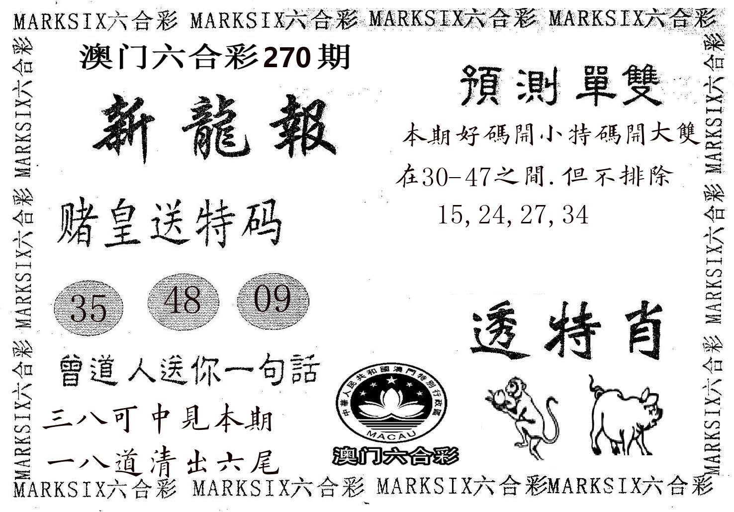 新龙报 第270期