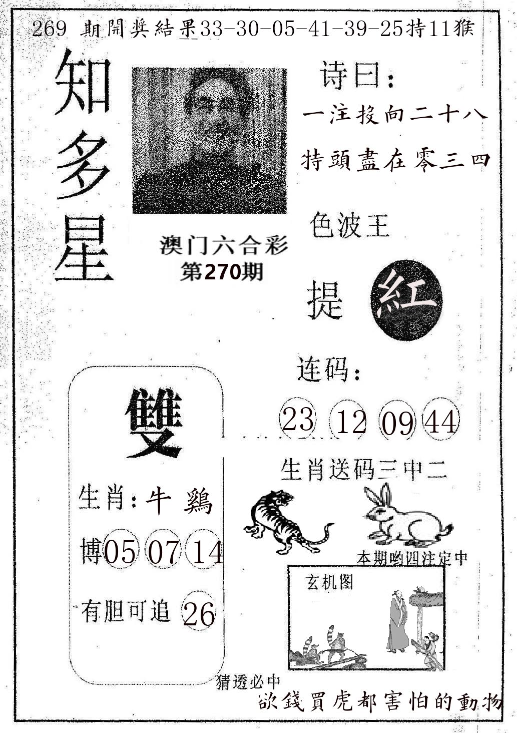 知多星 第270期