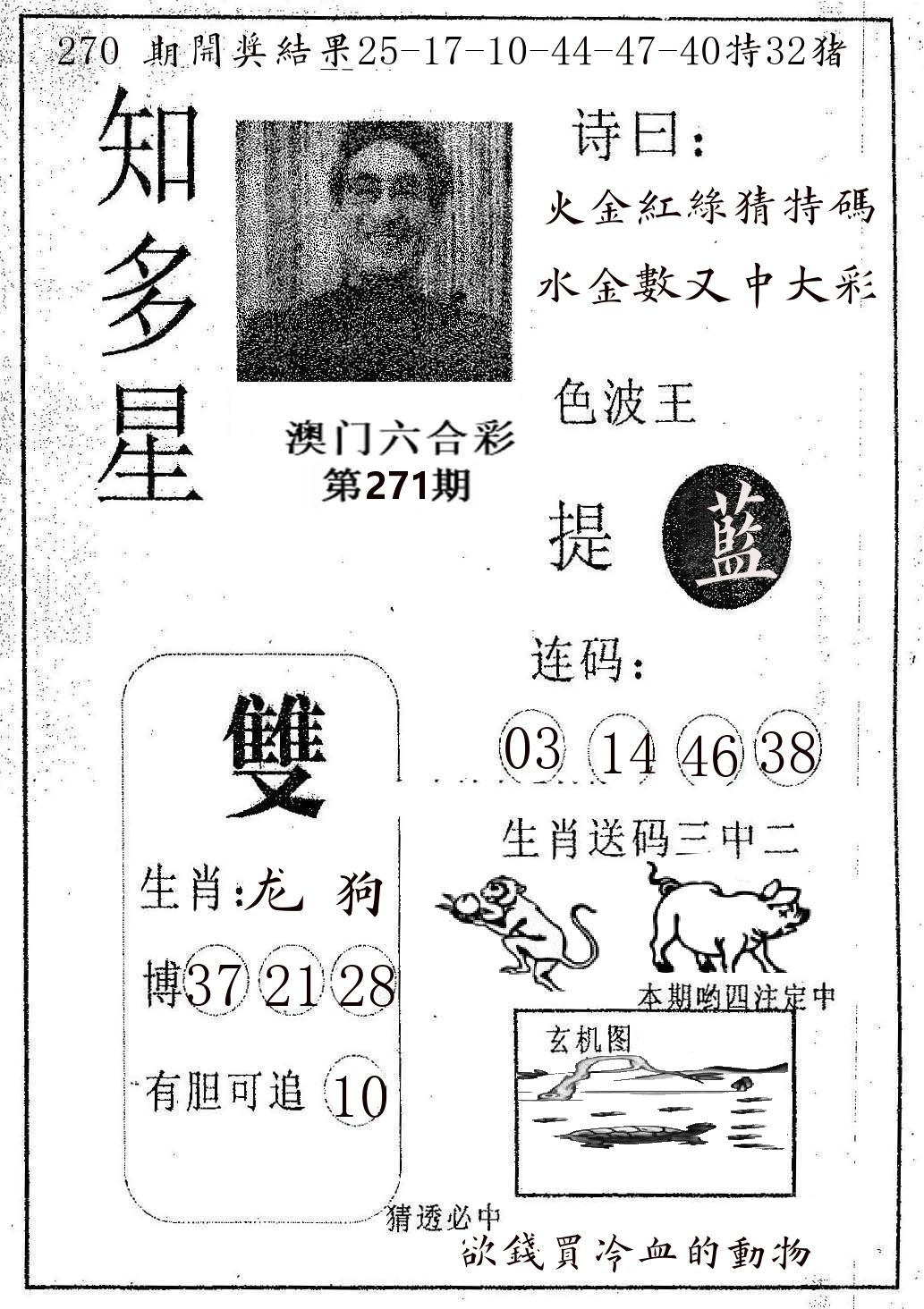 知多星 第271期