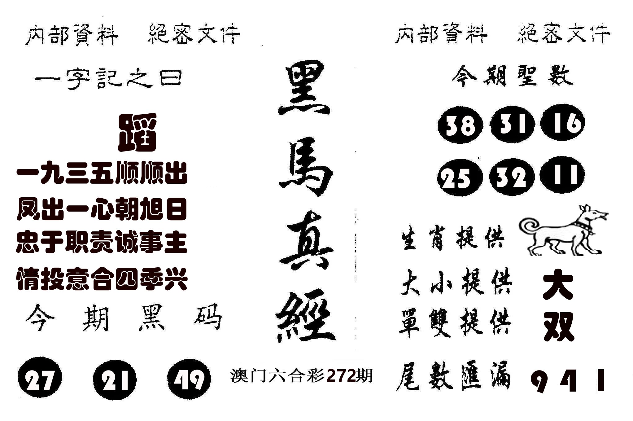 黑马真经 第272期