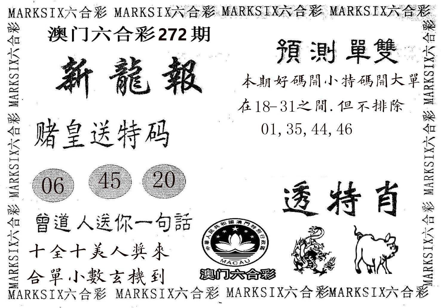 新龙报 第272期